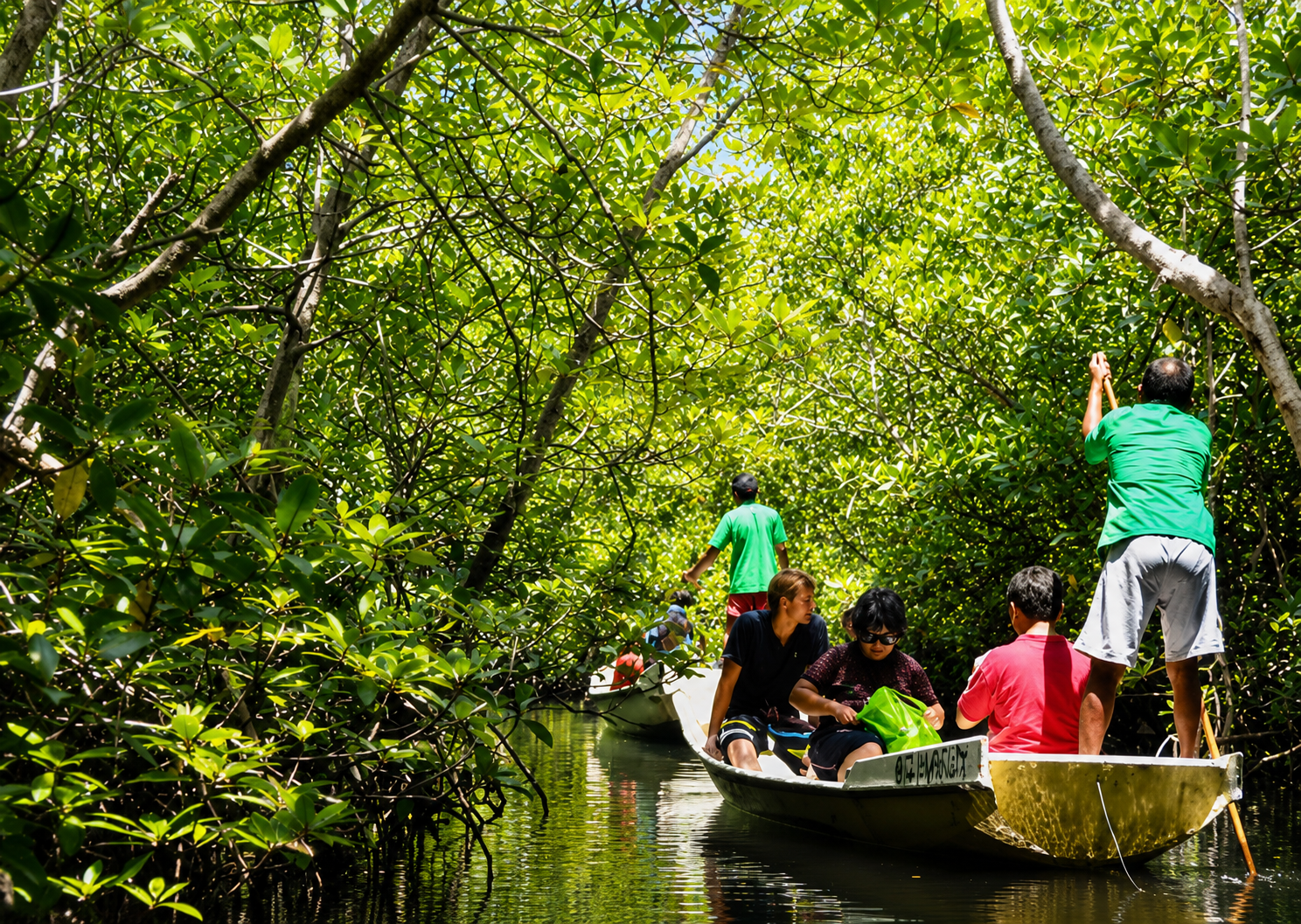 Island Snorkeling Tour