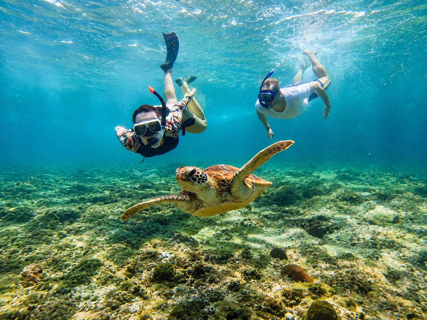 Snorkeling Nusa Lembongan