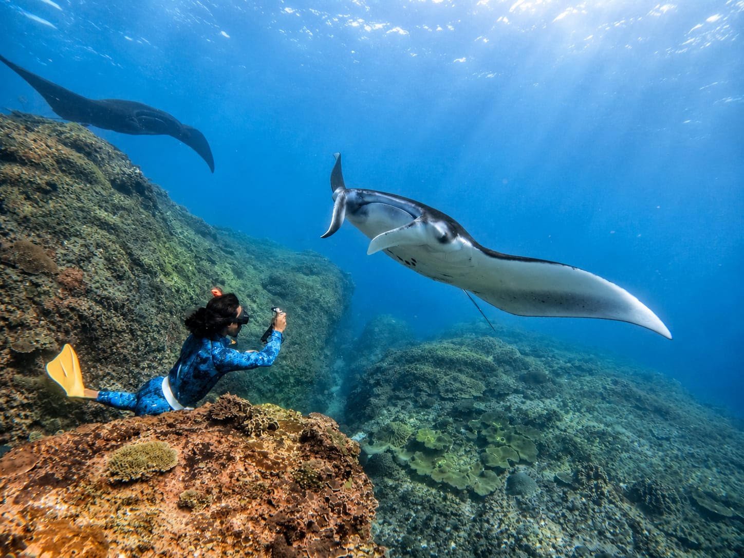 Manta Ray Nusa Penida